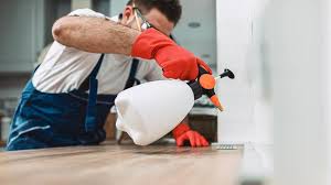 Best Residential Pest Control  in Glen Rock, PA